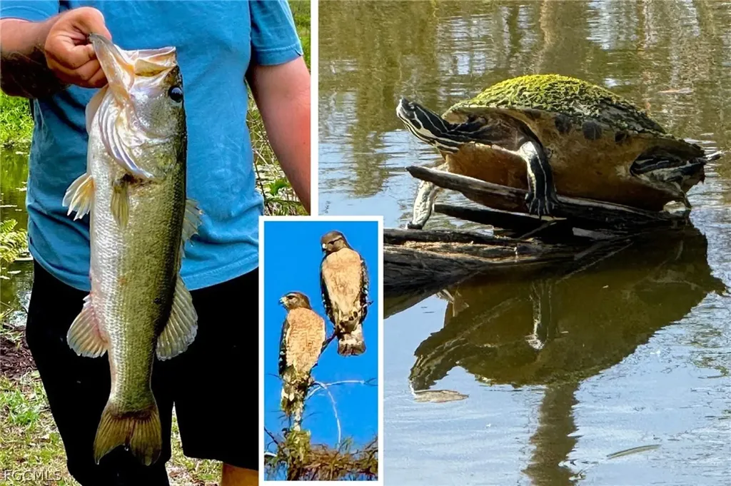 14593 Aeries Way Drive Fort Myers FL 33912