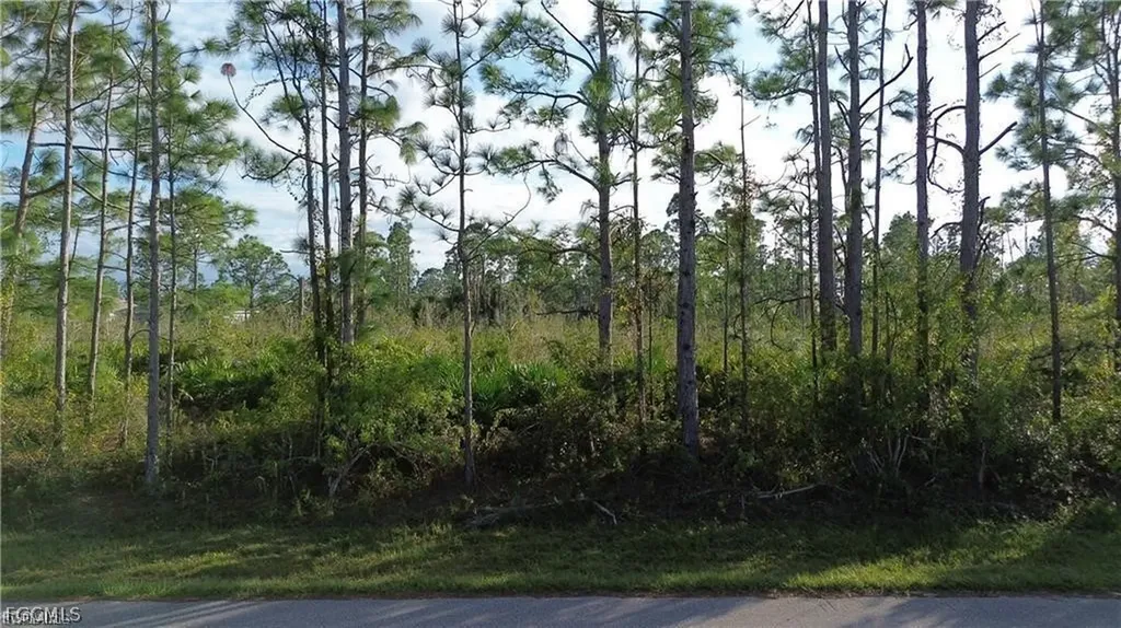12157 Terkelsen Avenue Port Charlotte FL 33981