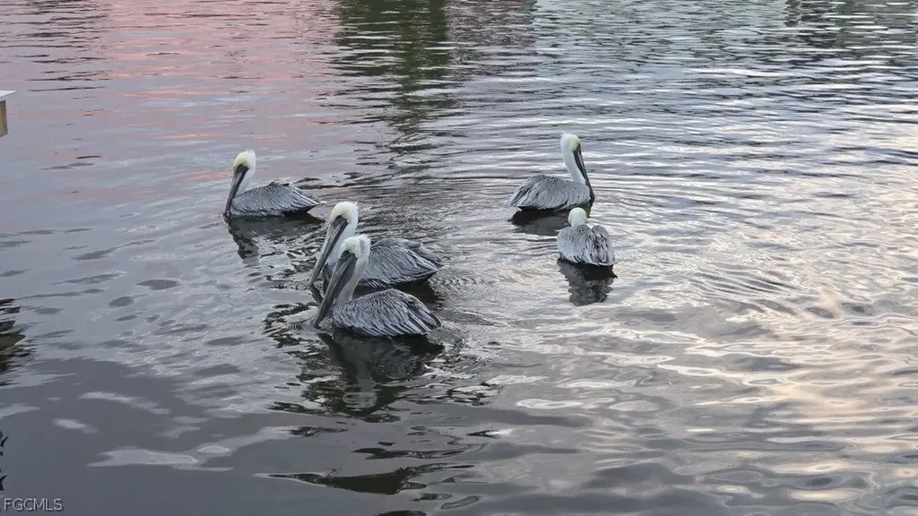 3211 Stringfellow Road St. James City FL 33956