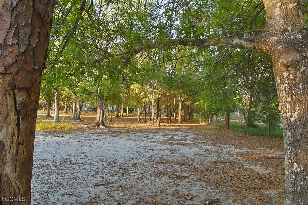 6850 Carmelita Drive Fort Myers FL 33905