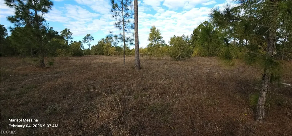1116 Columbus Avenue Lehigh Acres FL 33972