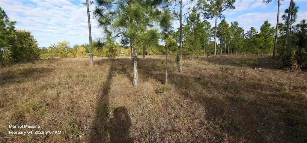 1116 Columbus Avenue Lehigh Acres FL 33972