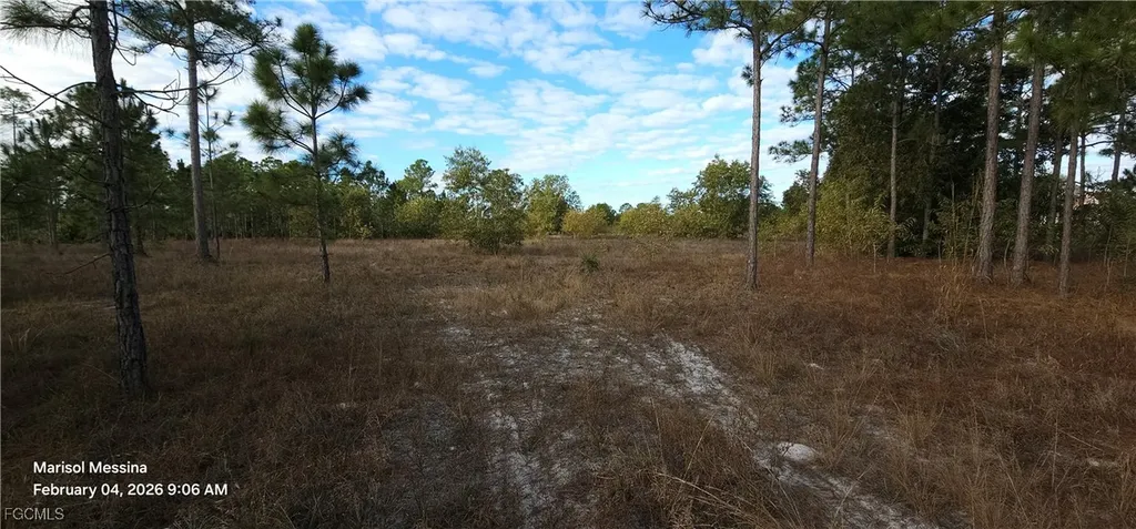 1116 Columbus Avenue Lehigh Acres FL 33972