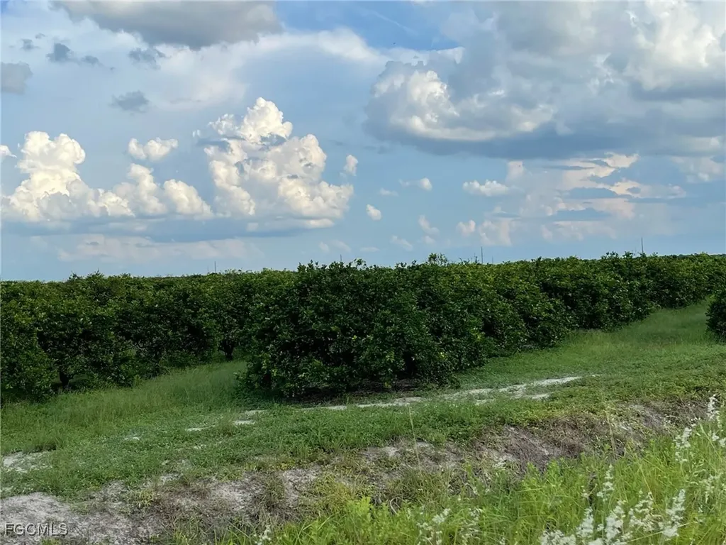 6380 + 6340 6th Road Labelle FL 33935