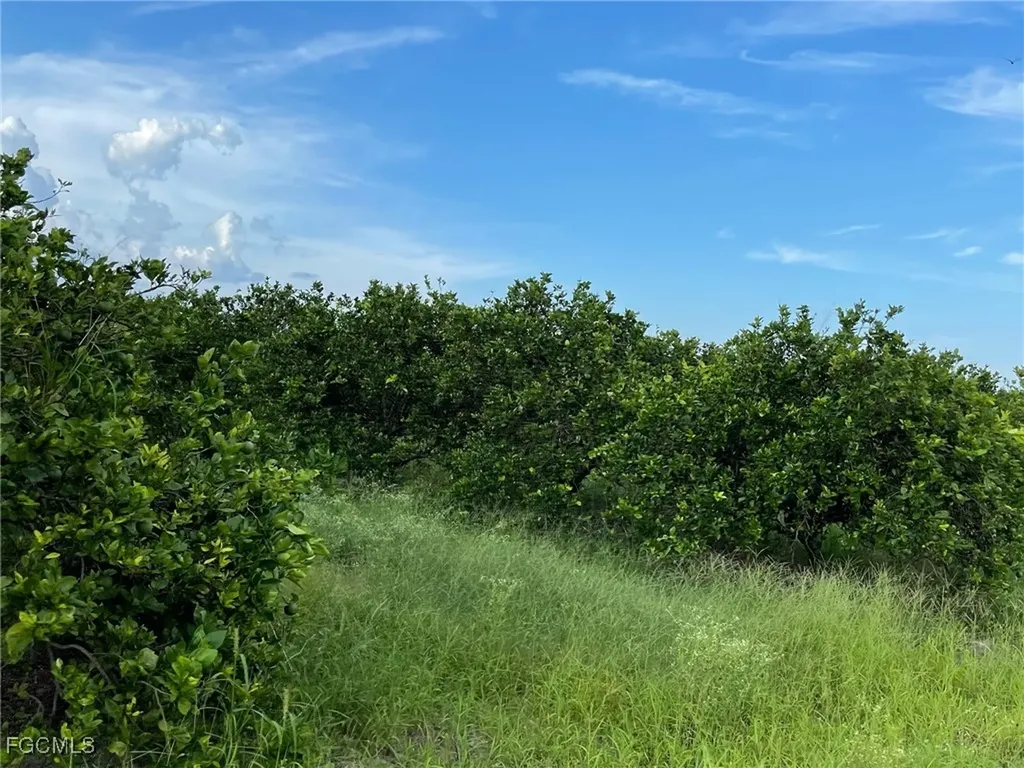 6380 + 6340 6th Road Labelle FL 33935