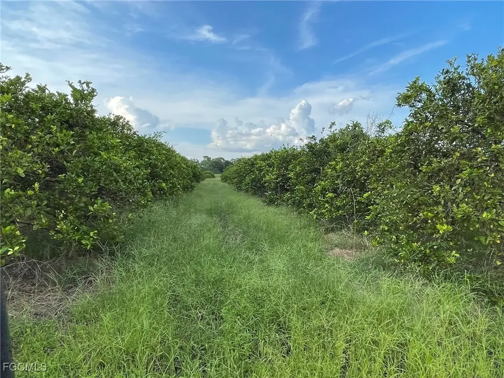 6380 + 6340 6th Road Labelle FL 33935