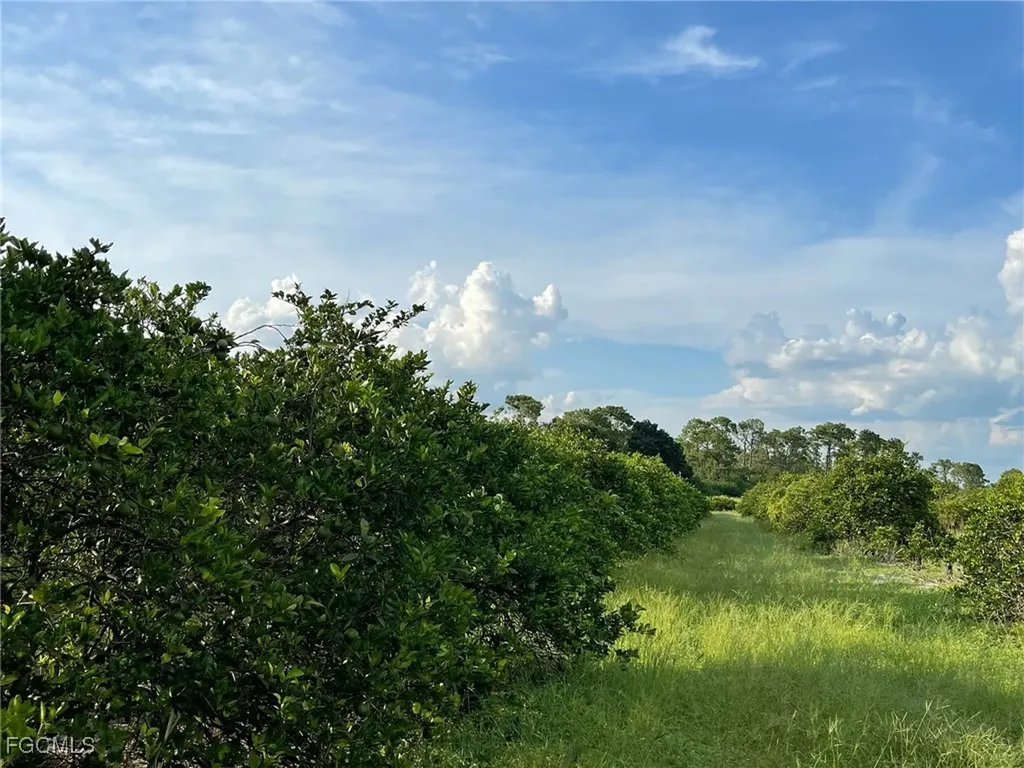 6380 + 6340 6th Road Labelle FL 33935