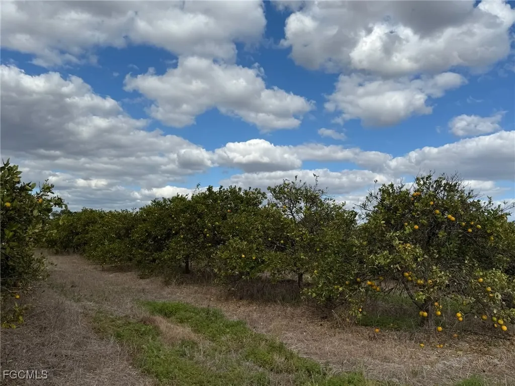 6380 + 6340 6th Road Labelle FL 33935