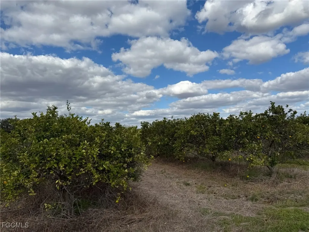 6380 + 6340 6th Road Labelle FL 33935