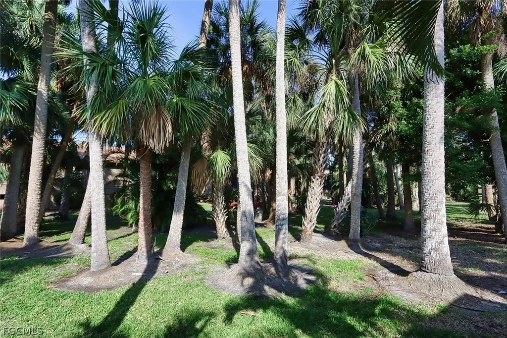 17623 Osprey Inlet Court Fort Myers FL 33908