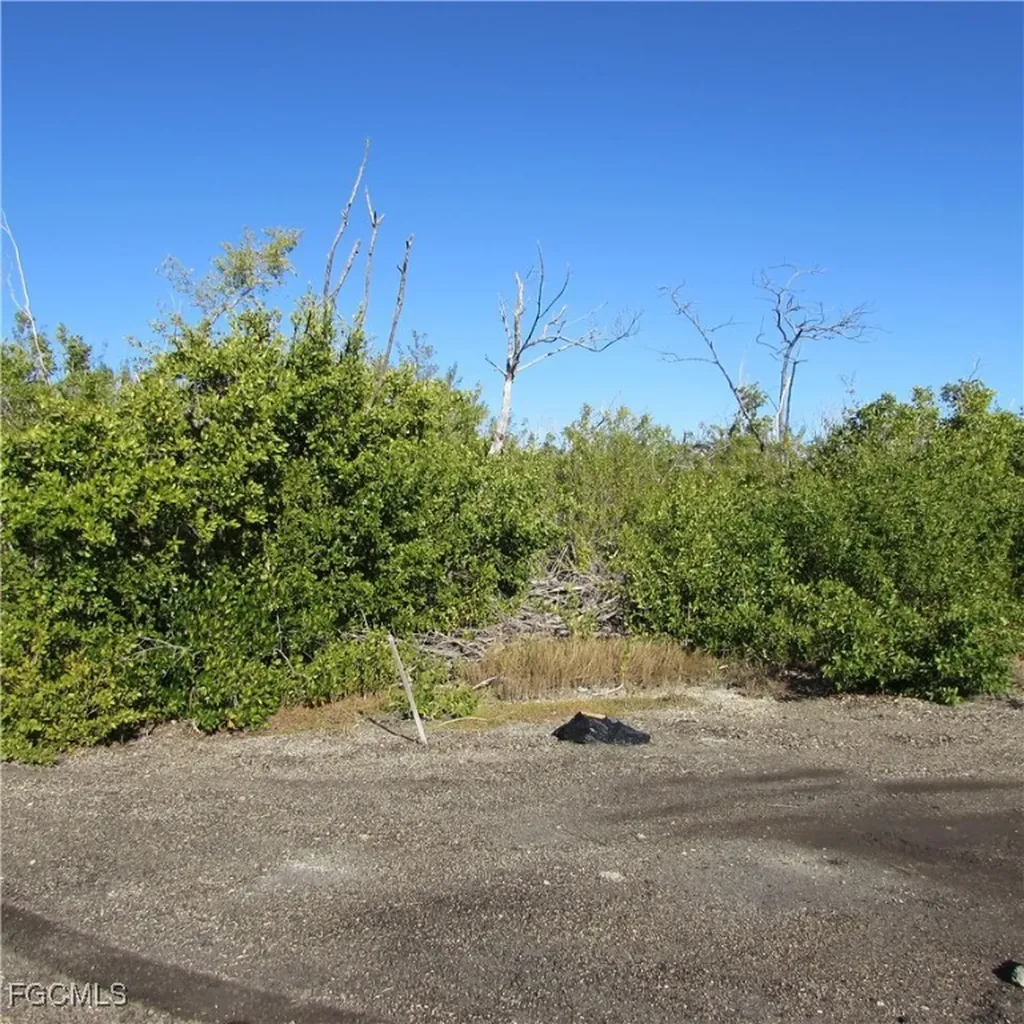 13686 Ficus Tree Lane Bokeelia FL 33922