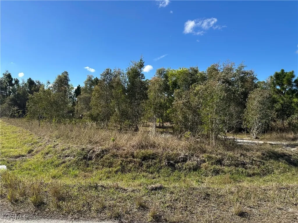 920 Panda Drive Lehigh Acres FL 33974