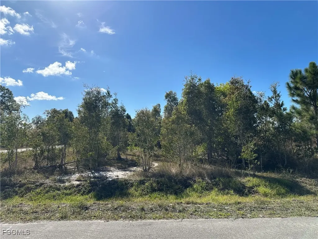 920 Panda Drive Lehigh Acres FL 33974