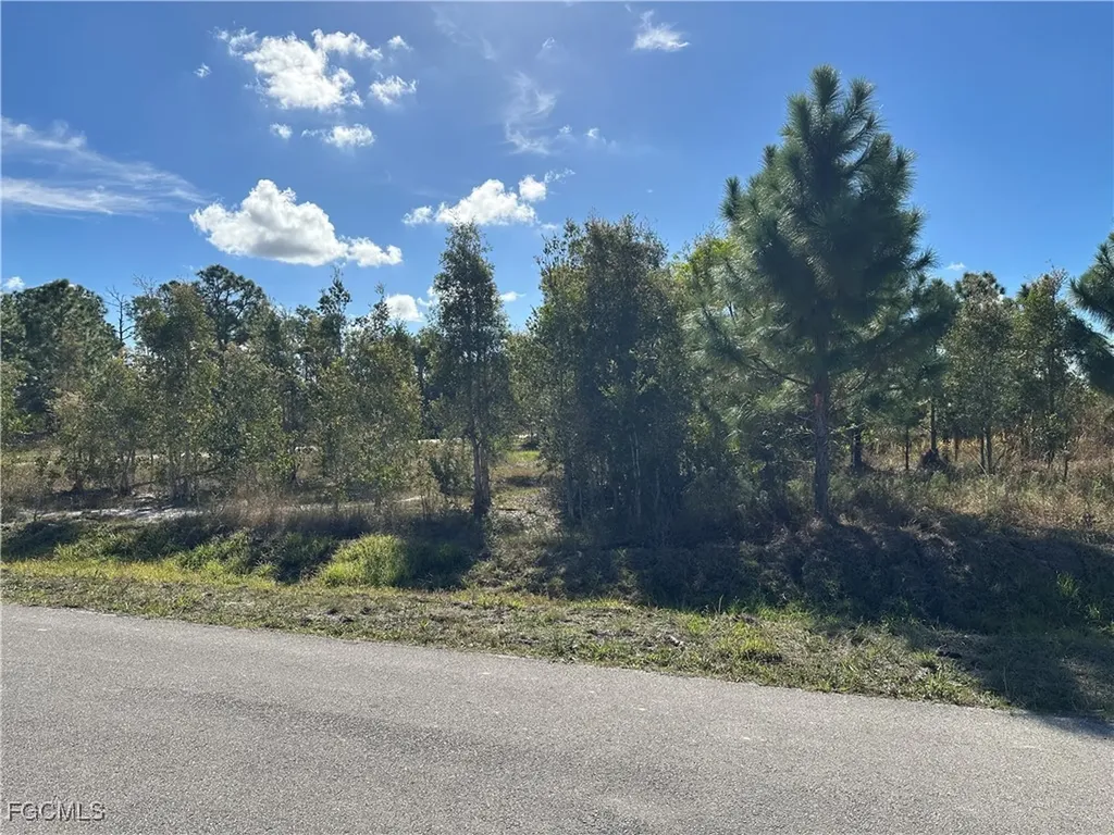 920 Panda Drive Lehigh Acres FL 33974