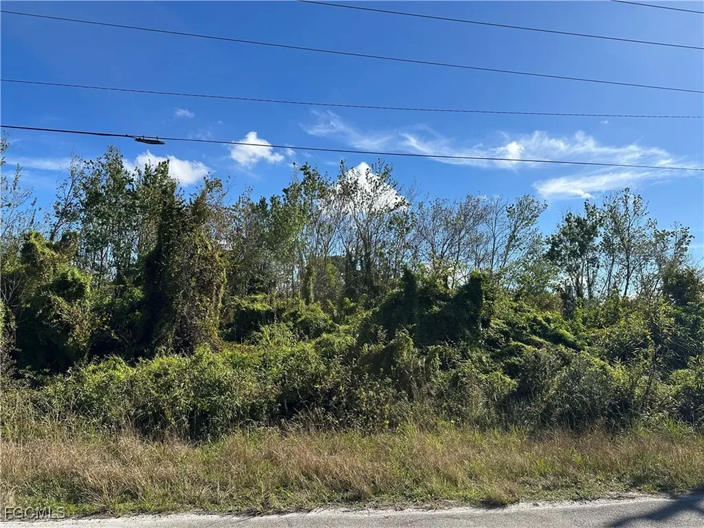 943 Joponica Avenue S Lehigh Acres FL 33974