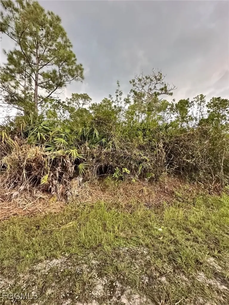 1504 Cleveland Avenue Lehigh Acres FL 33972