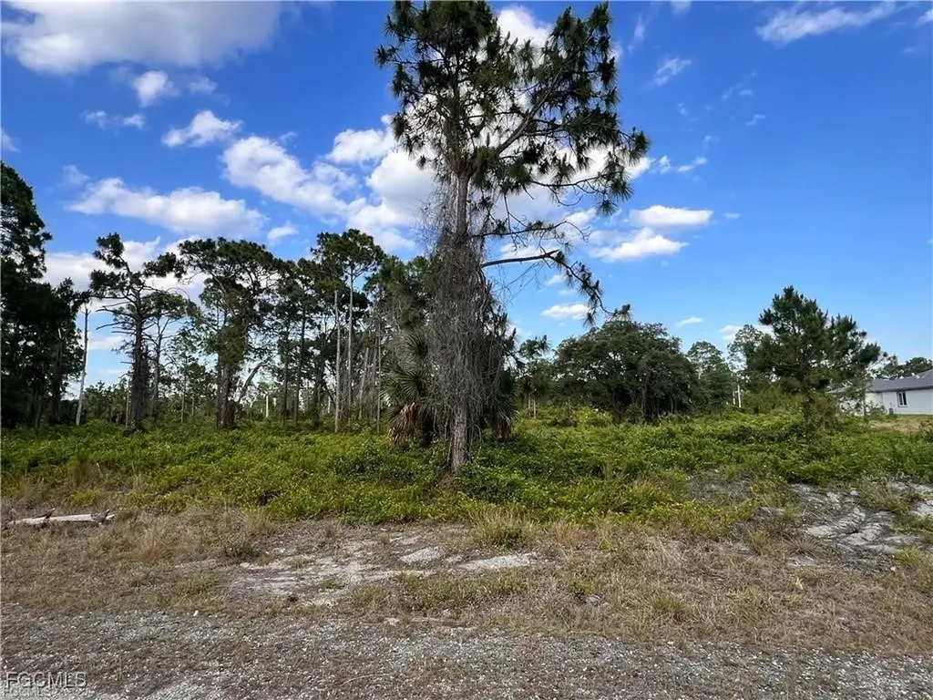 763 Worth Avenue S Lehigh Acres FL 33974