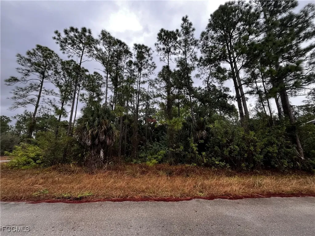 1133 Rambler Street Lehigh Acres FL 33974