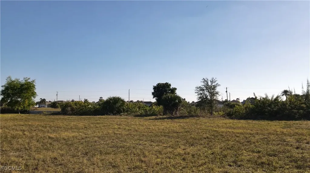 2914 NW 6th Terrace Cape Coral FL 33993