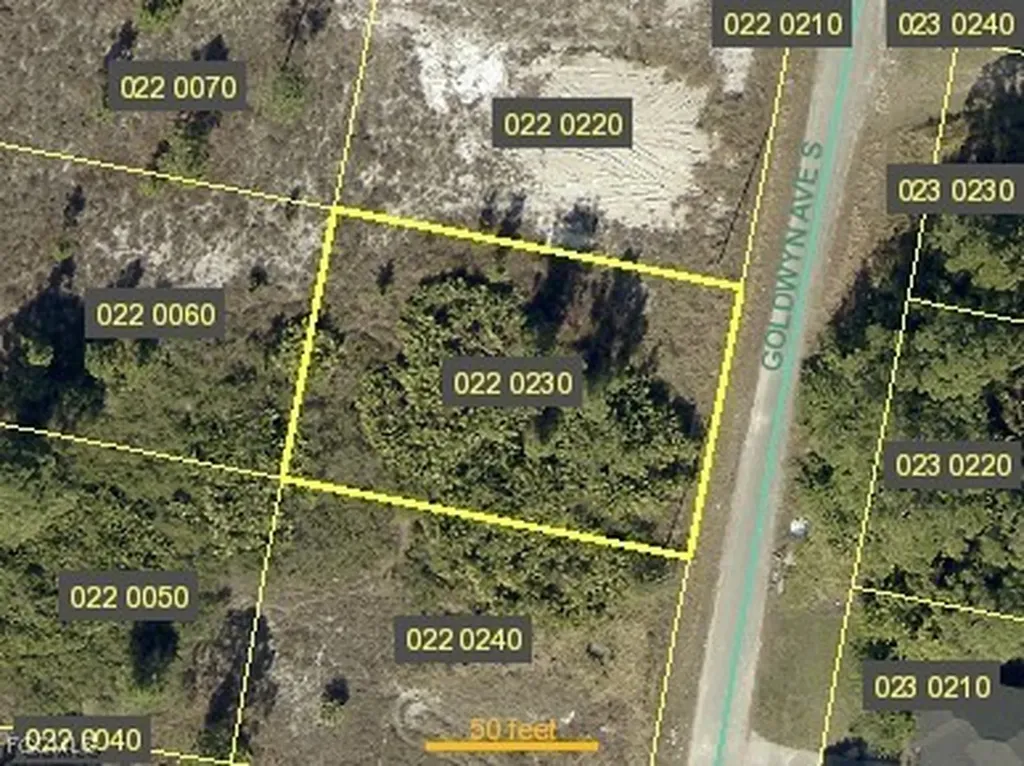 722 Goldwyn Avenue S Lehigh Acres FL 33974