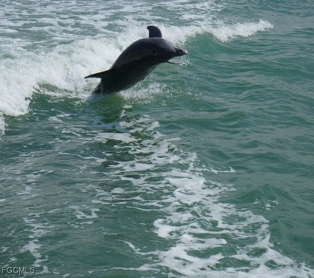 Fort Myers Beach FL 33931