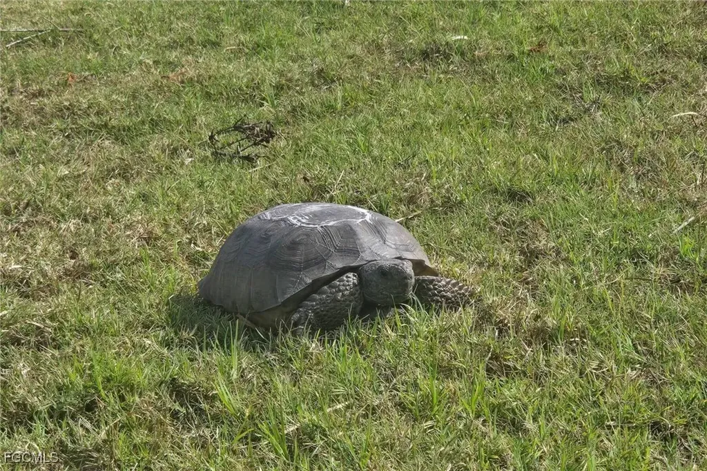 6142 Calusa Ridge Trail Bokeelia FL 33922