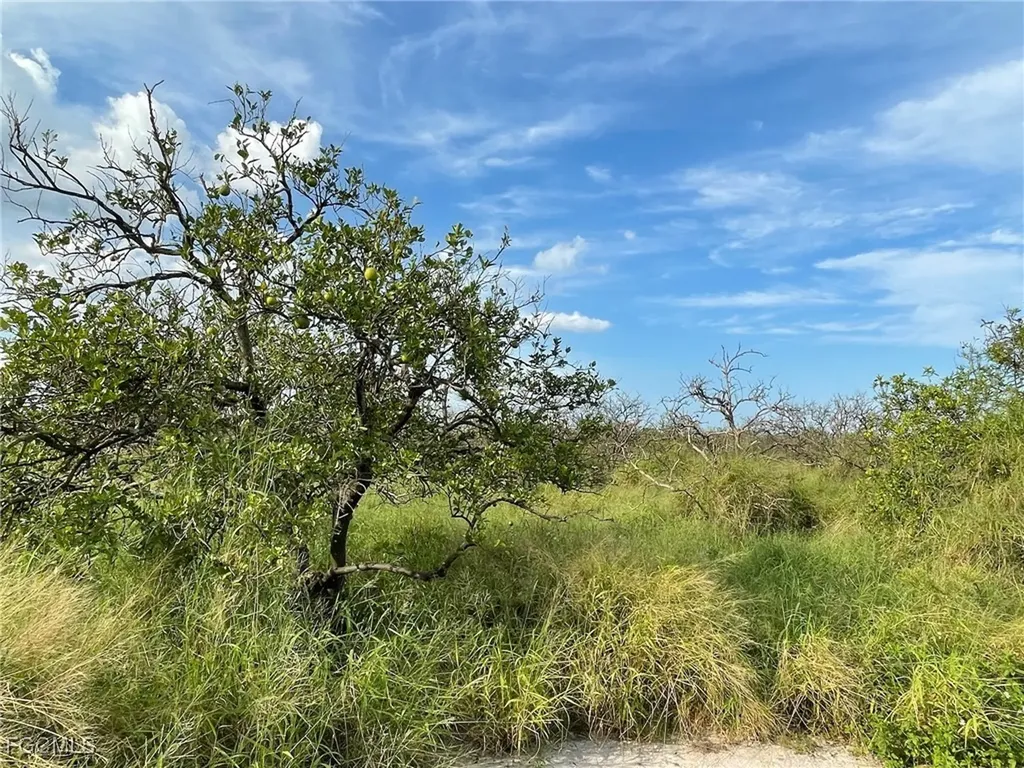 6925 6th Road Labelle FL 33935