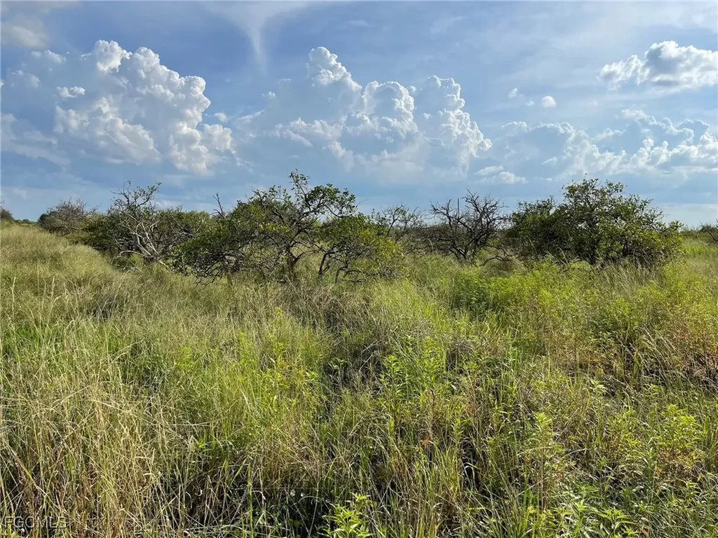 6925 6th Road Labelle FL 33935