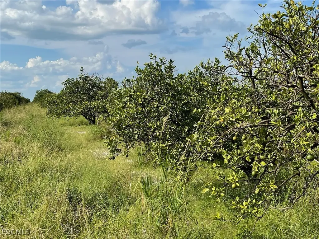 6876 5th Road Labelle FL 33935