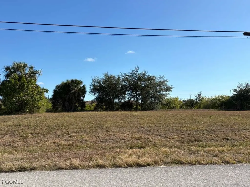 1203 NW 9th Place Cape Coral FL 33993