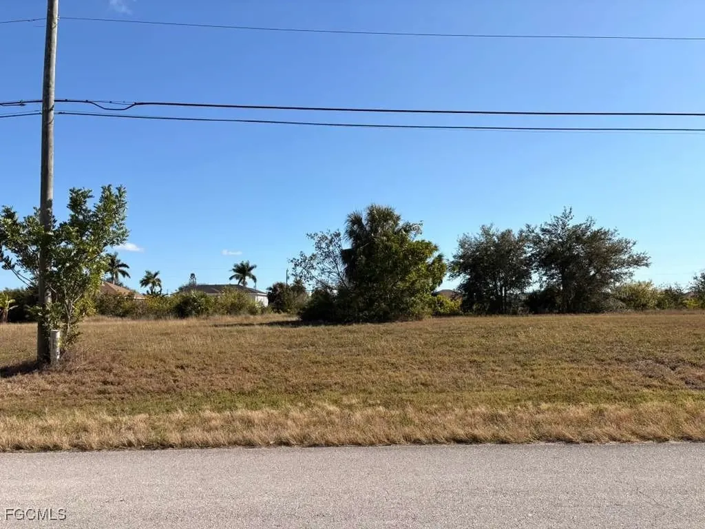 1203 NW 9th Place Cape Coral FL 33993