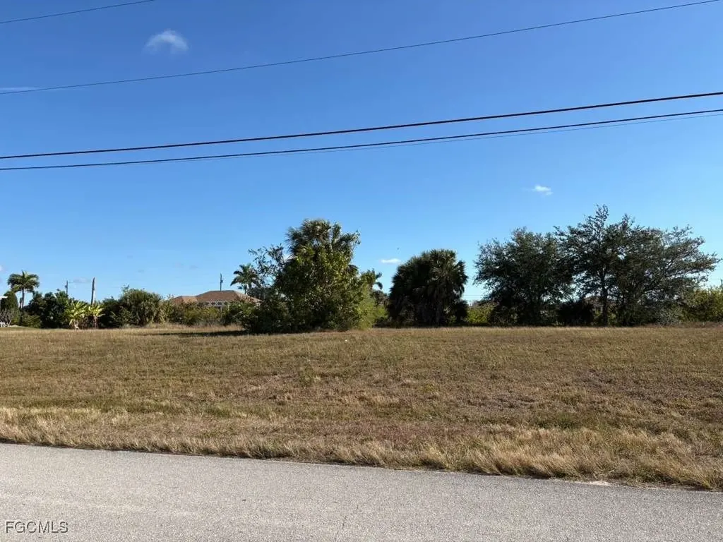 1203 NW 9th Place Cape Coral FL 33993