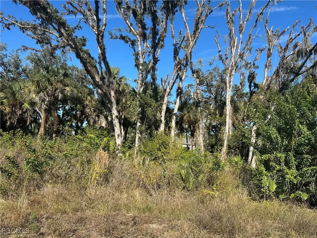 642 Kleinart Drive Lehigh Acres FL 33972