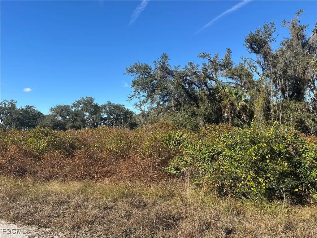 646 Kleinart Drive NW Lehigh Acres FL 33972