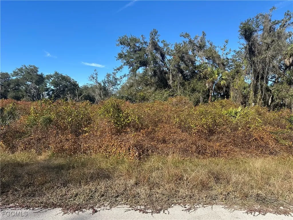 646 Kleinart Drive NW Lehigh Acres FL 33972