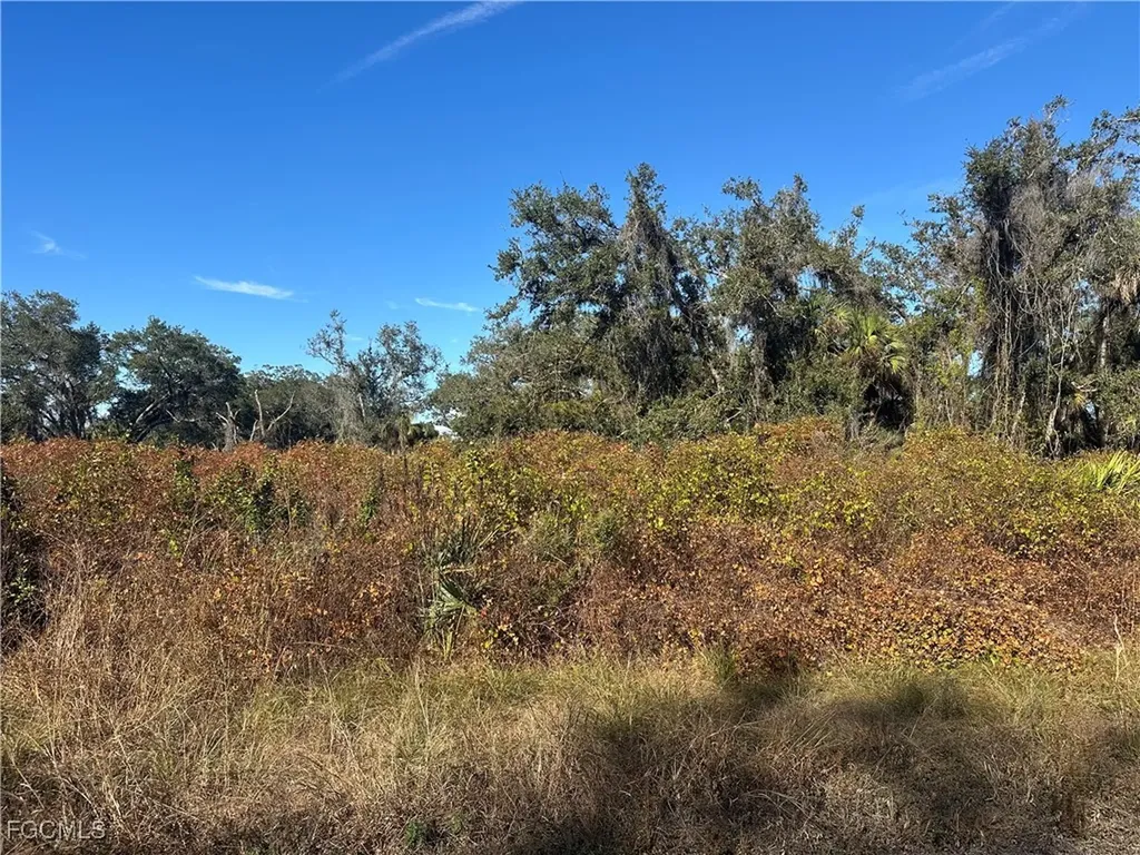 646 Kleinart Drive NW Lehigh Acres FL 33972