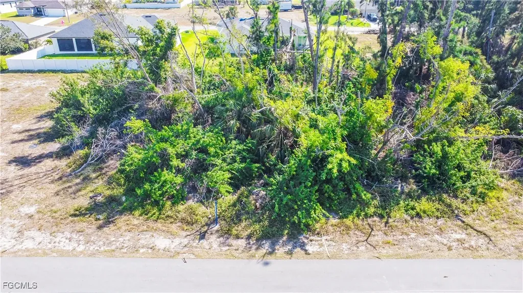 117 SW 34th Place Cape Coral FL 33991