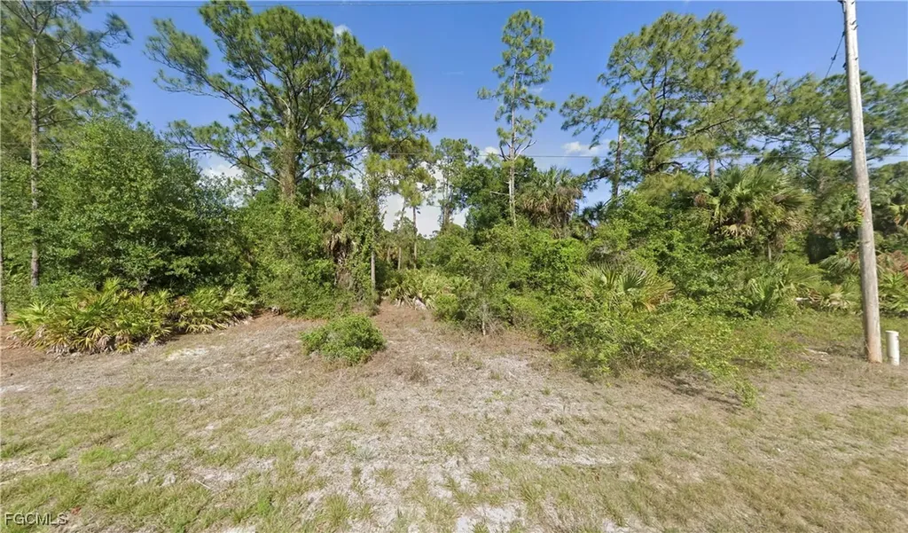 165 Birch Avenue Lehigh Acres FL 33974