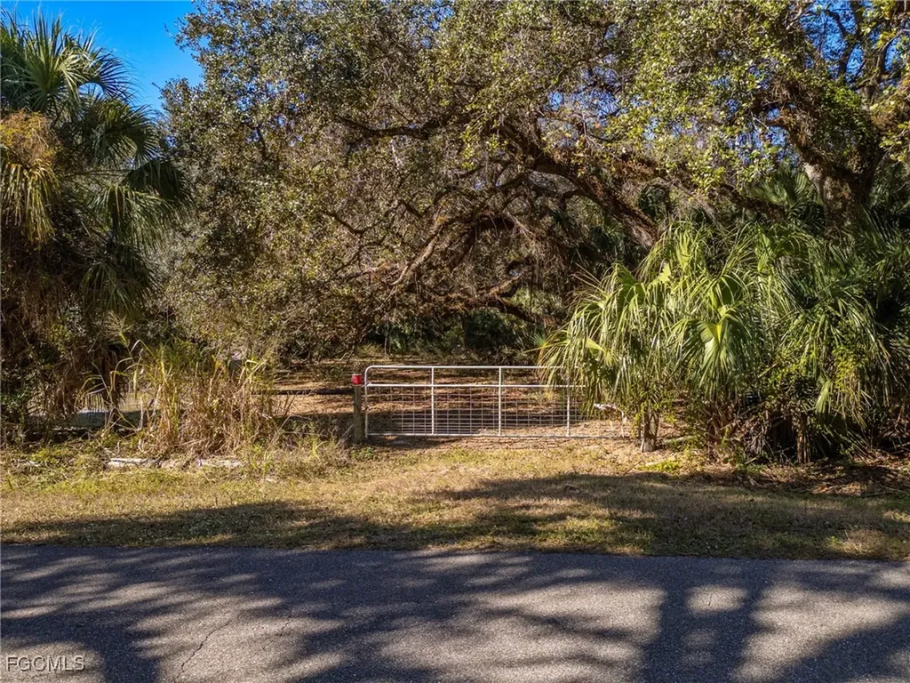 18201 Persimmon Ridge Road Alva FL 33920