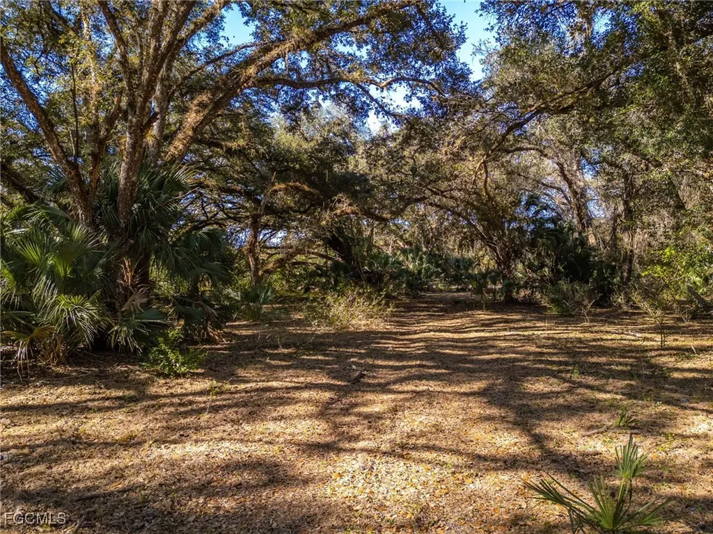 18201 Persimmon Ridge Road Alva FL 33920