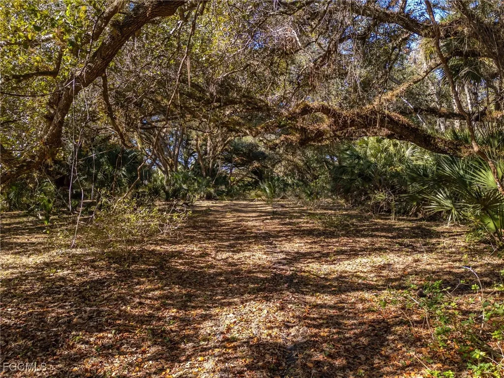 18201 Persimmon Ridge Road Alva FL 33920