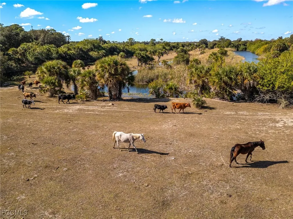 18201 Persimmon Ridge Road Alva FL 33920