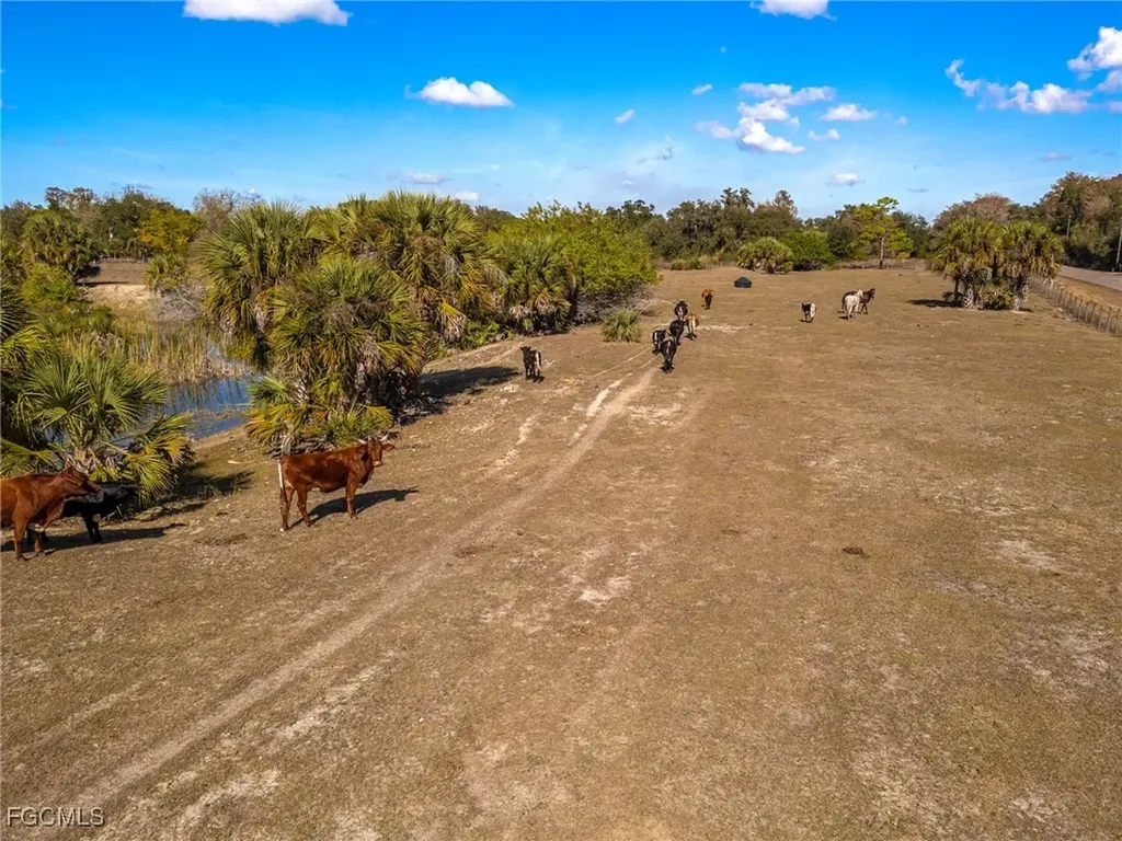 18201 Persimmon Ridge Road Alva FL 33920