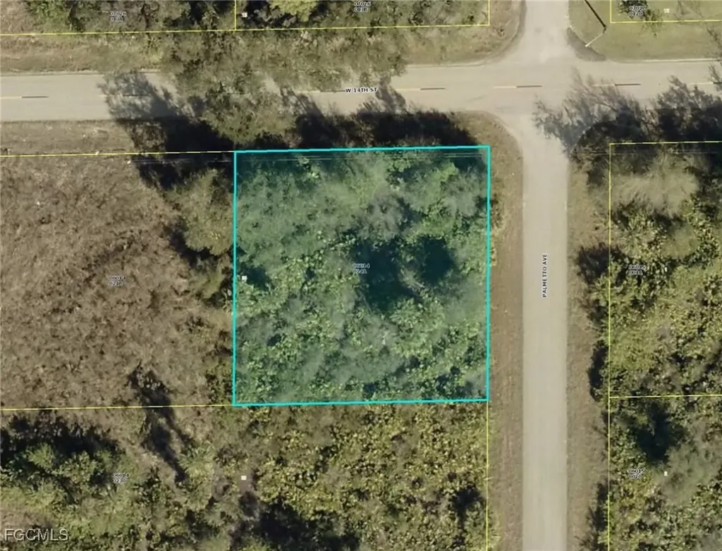 901 W 14th Street Lehigh Acres FL 33972