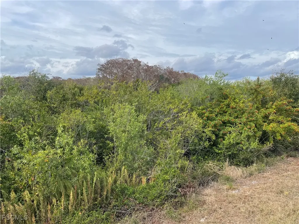 Fernwood Lane Labelle FL 33935
