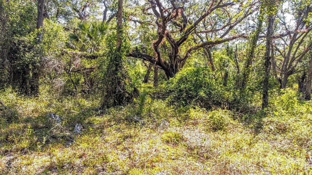 1 Catamount Road Labelle FL 33975