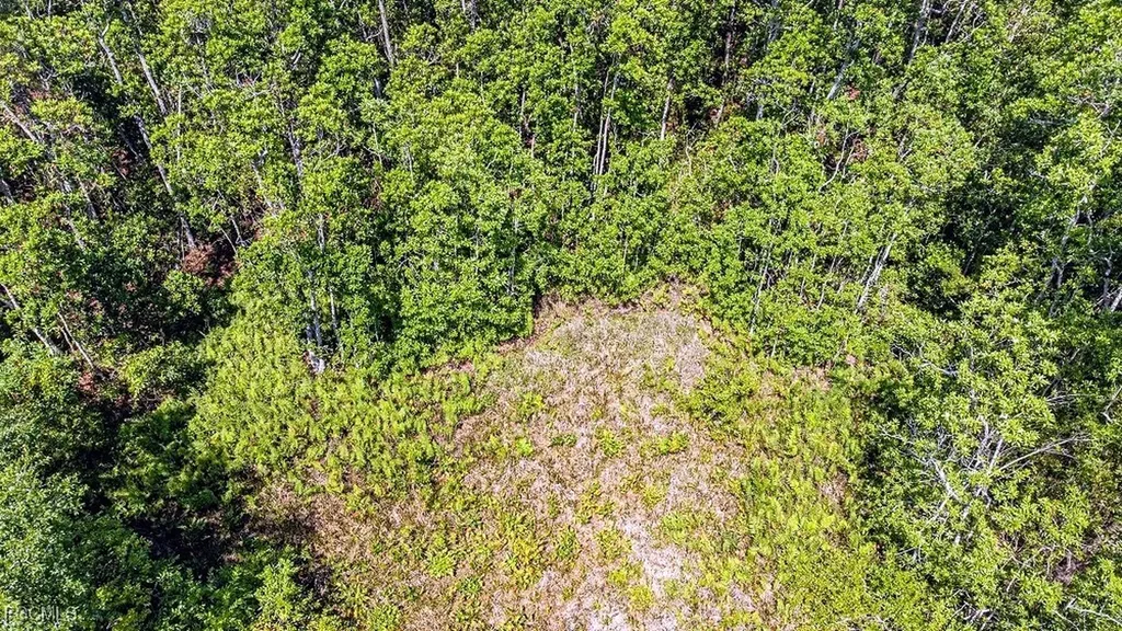 1 Catamount Road Labelle FL 33975