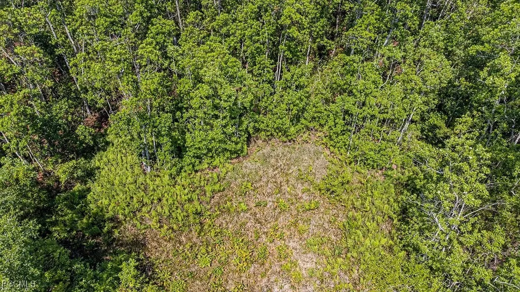 1 Catamount Road Labelle FL 33975