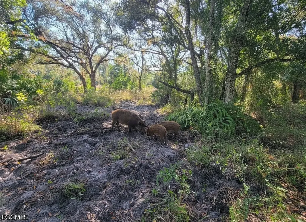 1 Catamount Road Labelle FL 33975