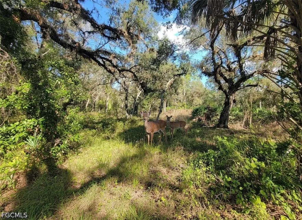 1 Catamount Road Labelle FL 33975